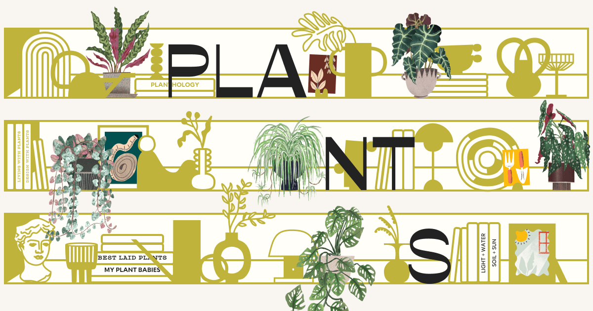 How Many Plants Open Graph social preview design